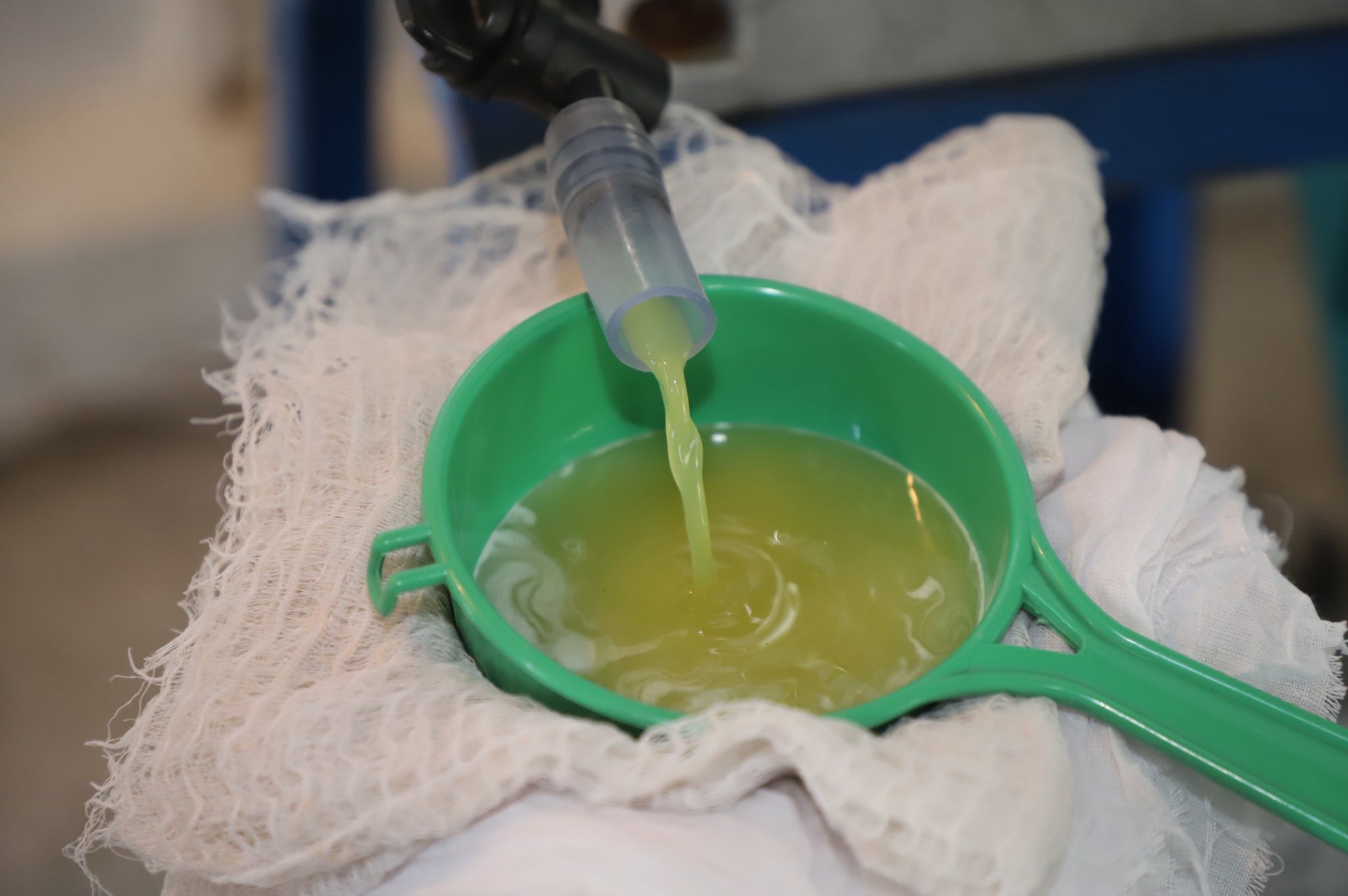 title - ”พลิกโฉมเกษตรกรสู่ผู้ประกอบการ“ ส.ป.ก.ลำพูน โชว์ความสำเร็จเกษตรอินทรีย์ครบวงจร ตั้งแต่แปลงปลูกสู่ตลาดพรีเมียม!!